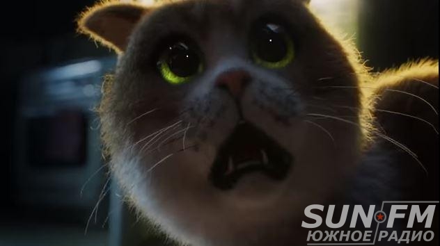 Изображение Первый фильм ужасов для котов: главный антигерой - огурец (видео) - 2022